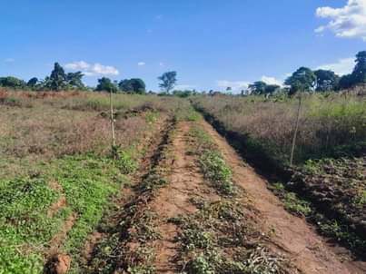A picture of Wakiso Namayumba town Estate after Kakiri town