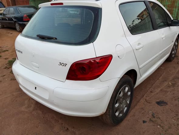 A picture of 307 manual