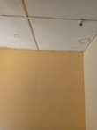 A picture of Chumba cha kupanga Gongo LA mboto 100k