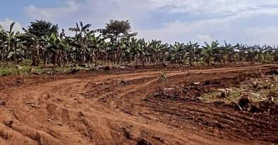 A picture of LAND FOR SALE