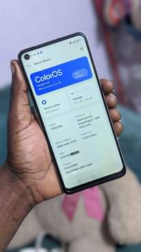 A picture of Oppo Reno 7