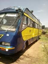 bus