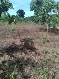 A picture of ANTI MR PROPERTY MANAGEMENT PLOT ON QUICK SALE PRICE REDUCED