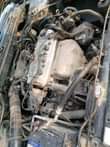 A picture of 2000 Honda Baby Boy
