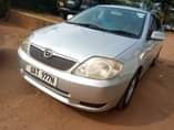 A picture of TOYOTA ALLEX