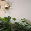 A picture of Wall hangings