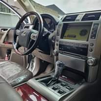 A picture of 2010 LEXUS GX460
