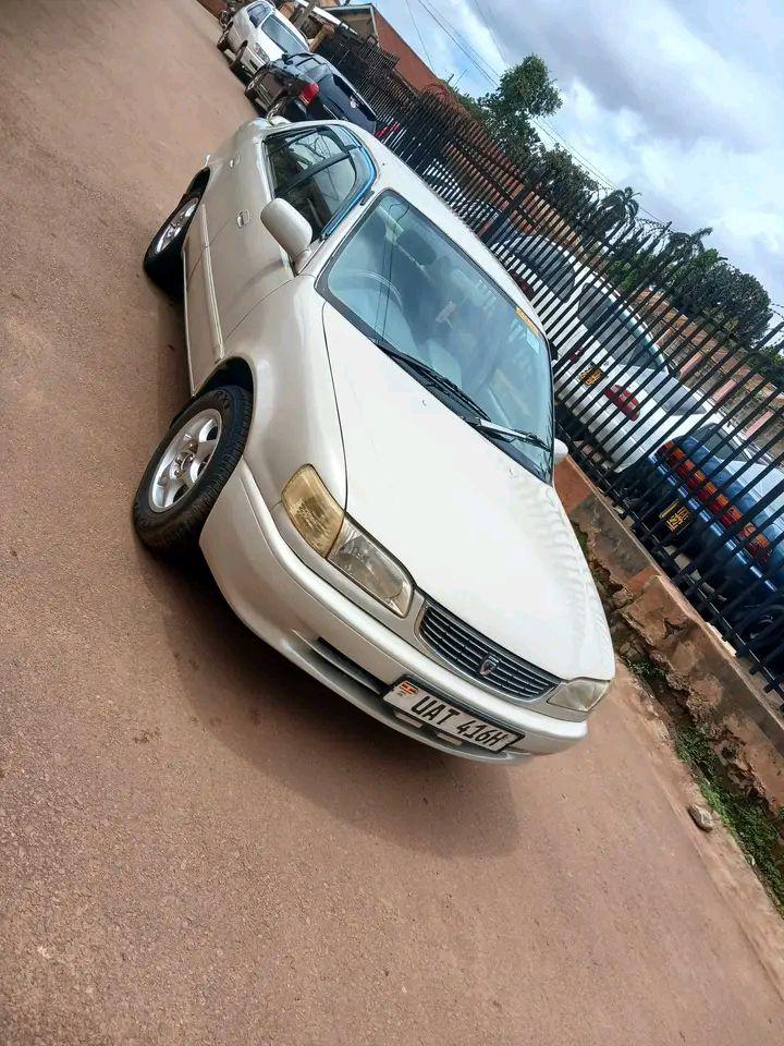 used toyota corolla