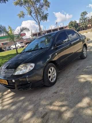used toyota corolla