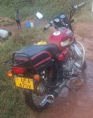 motorbikes