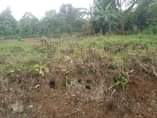 A picture of Plots for sale at Buddo Kimbejja on Masaka rd
