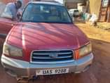 A picture of Subaru forester cross sport 2004