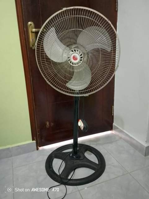 A picture of Jerry woofer and Fan