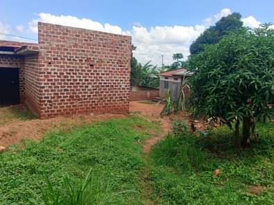 houses matugga