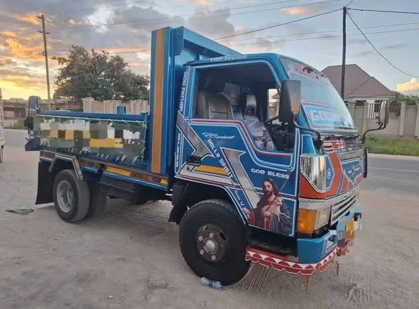 A picture of CANTER TIPPER 0617050520