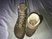 A picture of Safari shoes