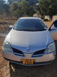 nissan primera