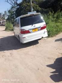 A picture of Alphard