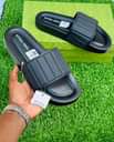 A picture of Sandal
