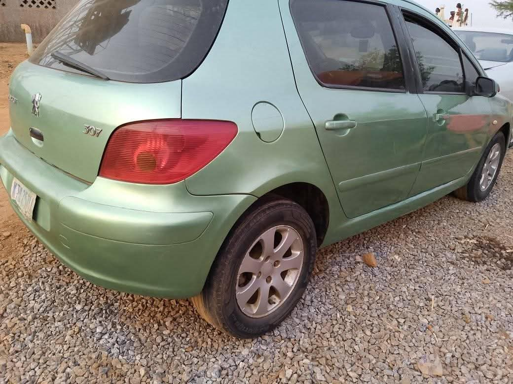 A picture of 2005 Peugeot 307