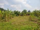 A picture of HALF ACRE ON SALE IDEAL FOR FARMING AND OTHER RELATED