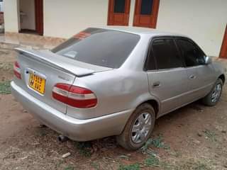 A picture of Arusha