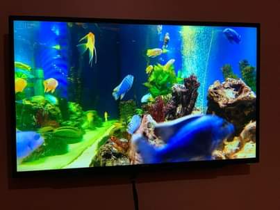 A picture of Tv OULING NCH 43 SMART TV SAMSUNG INH 43 LED