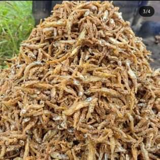 A picture of Dagaa wa mwanza