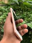 A picture of IPHONE 8