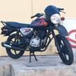 A picture of Boxer X 150