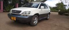 A picture of harrier 0767410504