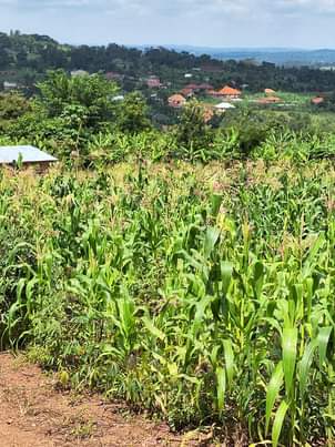 A picture of Plots for sale
