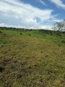 A picture of 50acres of land on sale selling from 20acres and above
