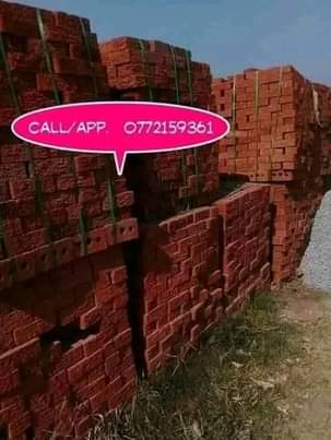 classifieds/bricks