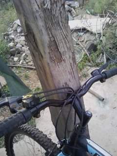 bicycle