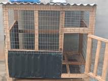 A picture of Cage