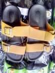 A picture of 