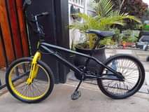 Sanesh S.