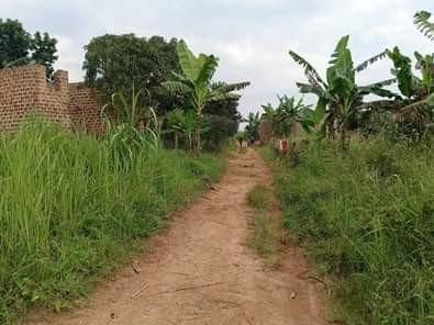 A picture of Merry Xmas Christmas 8000000 M LAND TITLE plot for sale