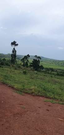 A picture of KAKIIRI GOBERO TARMAC VIEW ESTATE 17m 50100fts With TITLE