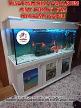 A picture of AQUARIUM AINA TOFAUTI TUNATENGENEZA NA SAMAKI WA MAPAMBO KWA GHARAMA