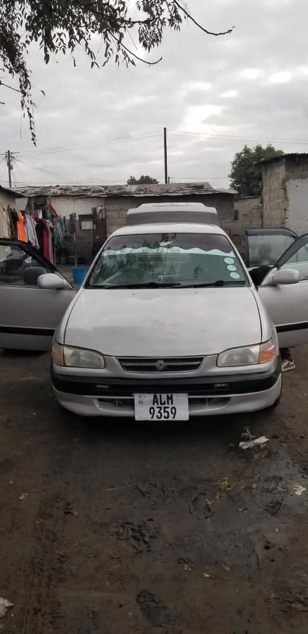used toyota corolla
