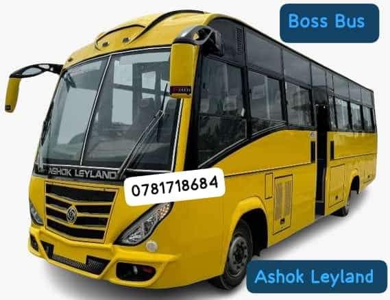 bus