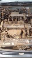 A picture of 1995 Japan Kikumi