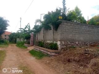 Byamukama N.
