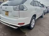 A picture of Harrier kawundo