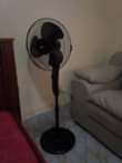 A picture of House hold s for sale and their all in a