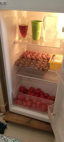 A picture of Fridge