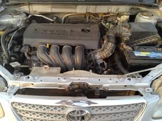 A picture of Yoyota corola 05 06
