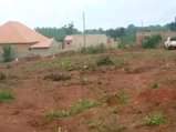 A picture of MATUGGA KIWEEBWA MANZE SITE 256705309448 Plot size 100by100ft 13m Plot